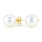 Classic Pearl Stud Earrings for Women