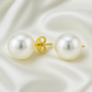 Classic Pearl Stud Earrings for Women