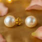 Classic Pearl Stud Earrings for Women