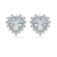 925 Silver Heart Shaped Zircon Halo Stud Earrings for Women