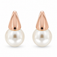 Fluted Cap Classic Earrings