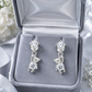 Teddy Bear Earrings