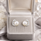 Silver Pearl & CZ Cat Stud Earrings for Women
